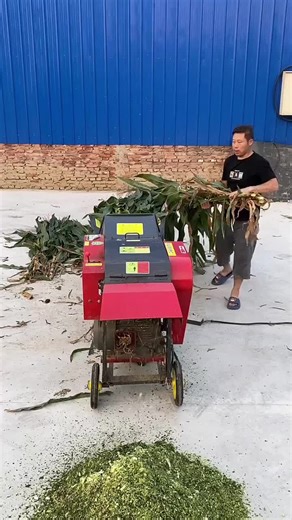 Chaff Cutter: Essential Agricultural Machinery Guide