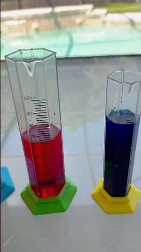 Let’s observe how water flows through plants! 💧🌱