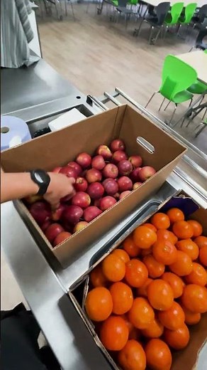 Summer Adventures | A typical day