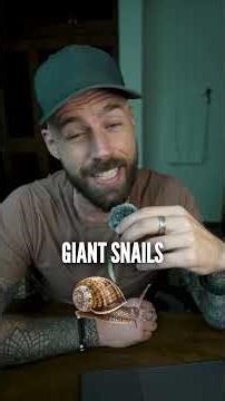 Don't hate me, but I'm tired of travel content like this 🙄