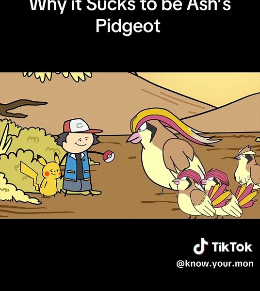 Why Being Ash's Pidgeot is Challenging