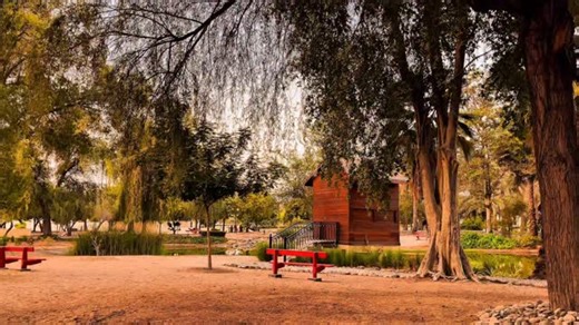 𝘋𝘵.𝘚𝘢𝘫𝘢🦋𓂆 on Instagram‎: "الغروب من حديقة العلوم ☀️🌱 #fyp #غروب #جسق #جامعة_السلطان_قابوس"‎