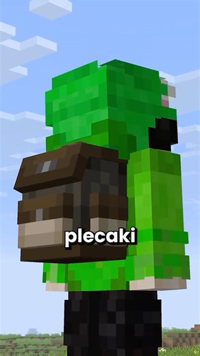 this mod adds backpacks...