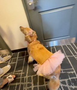 Bailey Zimmerman on Reels