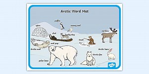 Arctic Scene Word Mat