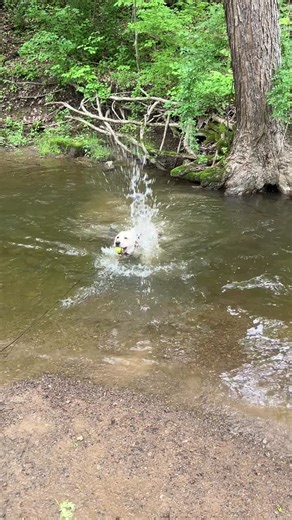 “Just keep swimming.” —Finding Nemo (2003) | Nancy Simmons