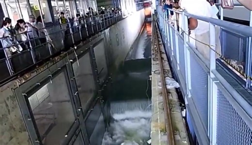 This is the power at 1m. Escape immediately! [Aomori Hit with Intensity 6 Quake] Tsunami Warning: "Run for your life!" "Prioritize your safety" Emergency Earthquake Alert: "You okay after the quake?" | Meme nihon