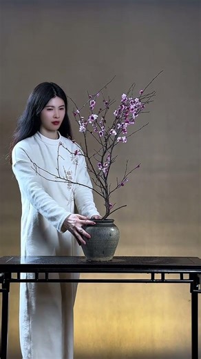 Blossoming Solitude: Discover the Beauty of Chinese Plum Blossoms in Cold Weather