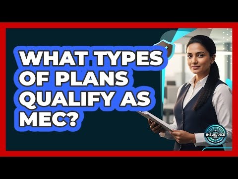 What Types Of Plans Qualify As MEC?