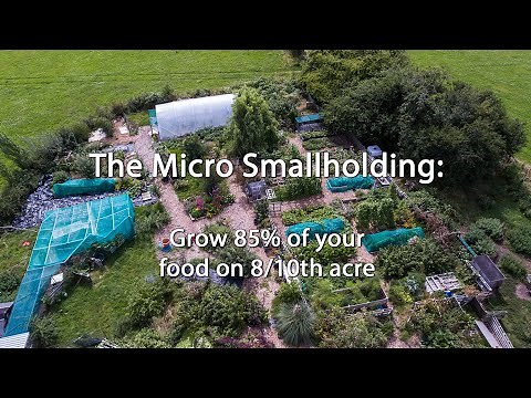 The Micro Smallholding: Grow 85% of your food on 8/10th acre