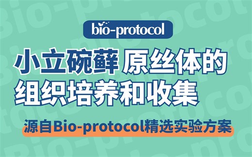 【实验方案精选】藓类原丝体的组织培养和收集