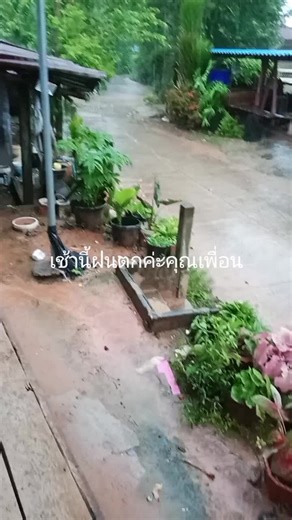 เสมือน สายบันเทิง บน TikTok