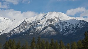 A Beginner's Guide to Choosing the Right Focal Length for Photos