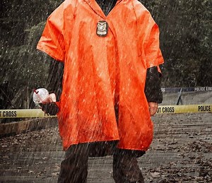 Backstrom Summary, Trailer, Season List, Cast, Where to Watch and More