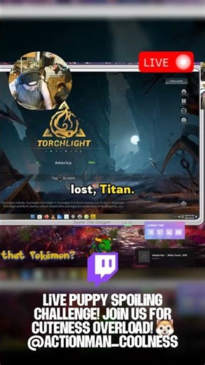 My dog officially took over the Torchlight stream!