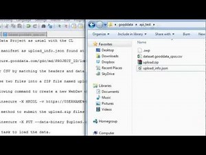 GoodData API - Loading Data