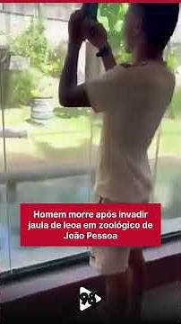 Man dies after invading lioness's cage in João Pessoa