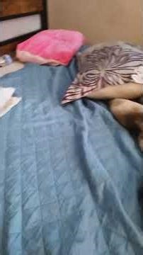 alert alert new cool announcement that you need to hear