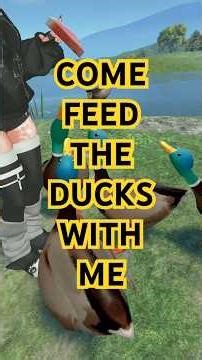 DUCK THERAPY 🦆✨ #vrchat #vrchatworld #vrchatworlds #wholesome #feedducks #vrchatcommunity #vr