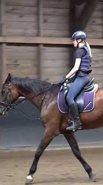 The RIDING LESSON is almost over. Learned a few more things #horseriding #privatelesson #pony #sh...