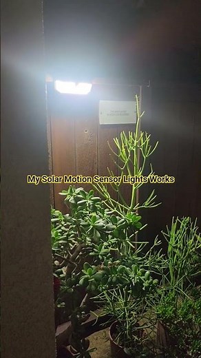 My Solar Motion Sensor Lights Works @ProfDavidJDelosReyes #motionsensorlight #solarenergized