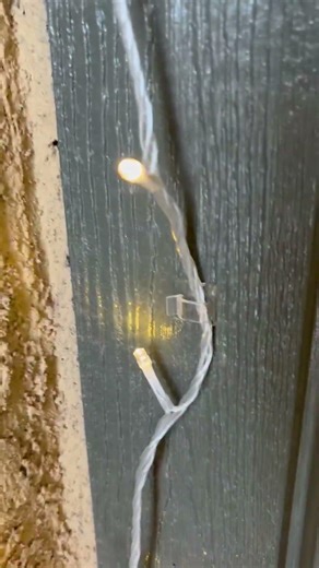 (Review) I used these to hang my Christmas lights | FairyGlim