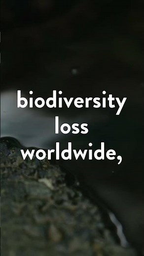 Professor Jaimie Dick┃Developing Strategies to Fight Invasive Alien Species