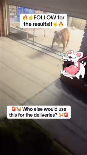 FlexlifeDriver on Instagram: "🐕🐕Amazon Flex drivers... you NEED this if dogs bark at every stop.🐕🐕 “Yes, you can use a handheld, portable anti-bark device (often called a “dog silencer” or “bark deterrent”) while delivering, as they are generally legal and designed to be used in public spaces.” #amazonflex #amazonflexdriver #gigwork #barkingdog #barking"