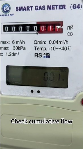 RS485 diaphragm gas meter test video