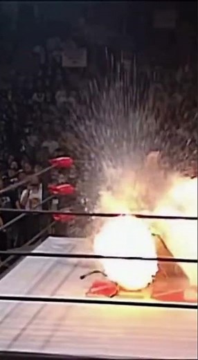 The most hardcore moment in AI WRESTLING