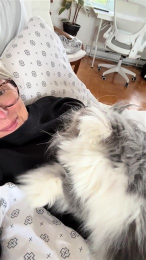 1 p.m. — the time when I absolutely must tuck in my big baby. We call it our little afternoon nap. No sleeping allowed for me, but he loves stretching out completely on top of me and enjoying this special moment we share. ******* 13 heures, l’heure à laquelle je dois absolument aller border mon gros bébé. Nous appelons ça notre petite sieste d’après-midi. Pas question de dormir pour moi, mais lui aime bien venir s’étaler de tout son long sur moi et profiter de ce moment entre nous.