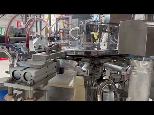 SA-DP-W DOYPACK PACKAGING MACHINE