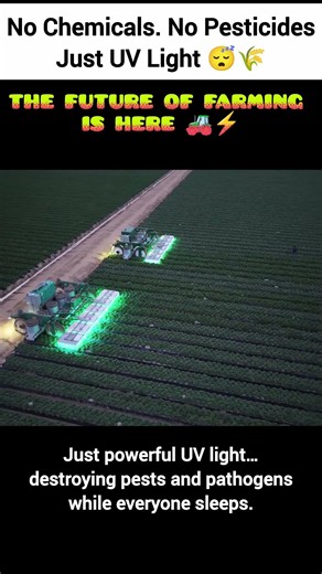 This AI Robot Kills Pests With UV Light Instead of Chemicals 🤯🌱#robot #ai #farming