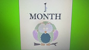 Baby Embroidery Designs: 13-piece Bib Pattern Bundle (4x4) Digital Download - Etsy