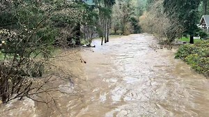 Historic flooding on Issaquah Creek in the Sycamore neighborhood 🌧️🌊 Wild video from my friend Doug Miler | Matt Brode