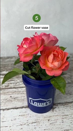 8 Genius Uses for the Viral Lowe's Mini Bucket