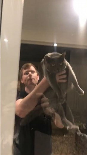 Giant Angry Huntsman Spider || ViralHog