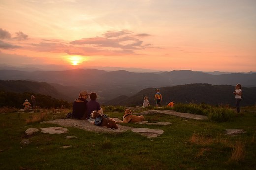 Who We Are | Conserving Carolina