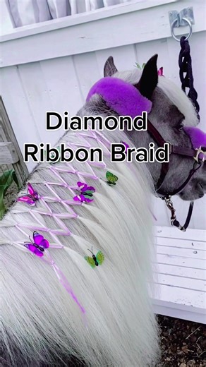 Diamond Ribbon Braid for Fairytale Look on Horse's Mane