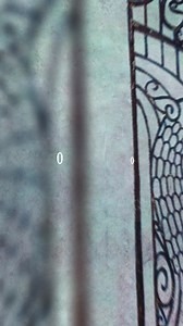 GROUNDATION on Reels