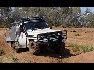 75 Series Landcruiser doing leafy things