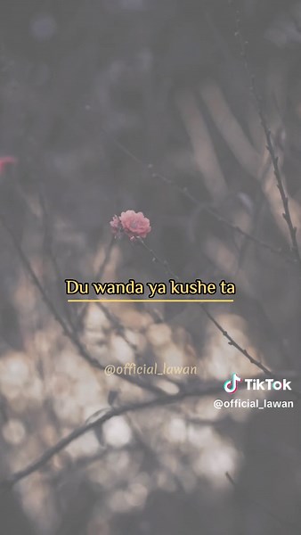 Rabin Jikina Gata Female Voice Lyrics