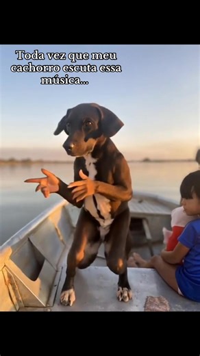 Cachorro Dançando ao Som da Música