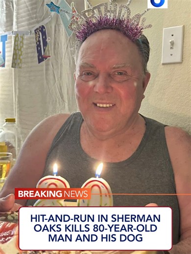 Maserati Hit-and-Run in Sherman Oaks: Man and Dog Struck