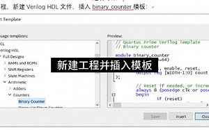 [29进制计数器]Verilog代码及板上验证