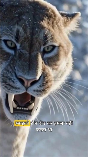 Smilodon:The DEADLIEST Predator Ever? | Part 1😱 #smilodon #sabertooth #prehistoric #predator #shorts