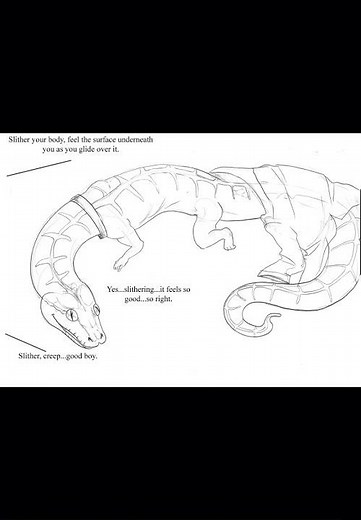 Snake Transformation