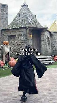 Harry Potter Studio Tour Tokyo vlog🦉🪄My first Harry Potter Studio Tour Tokyo was so much fun🫶🏻#vl...
