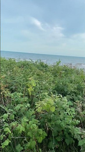 Ajax Waterfront Trail | Hidden Gem on Lake Ontario 🇨🇦
