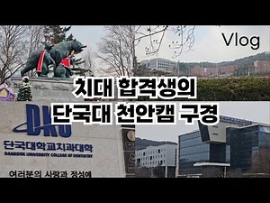 예비 치대생의 단국대학교 천안캠퍼스 구경 브이로그 (feat. 귀여운 곰상)